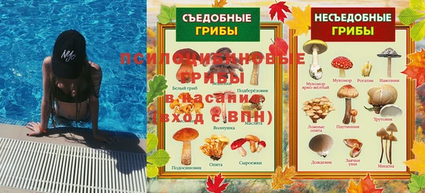 дмт Алексин