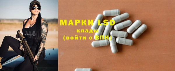 spice Приозерск