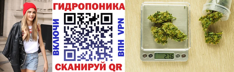 Бошки Шишки VHQ  Гвардейск 